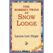 The Bobbsey Twins at Snow Lodge