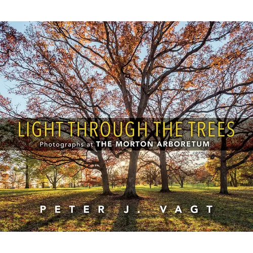 Light Through the Trees: Photographs at the Morton Arboretum