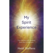 My Spirit Experience: True Stories and Lessons from the In-Between