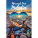 Mirrored Love Melodies: A Lyrical Romance Novel