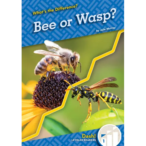 Bee or Wasp?