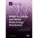 PPARs in Cellular and Whole Body Energy Metabolism