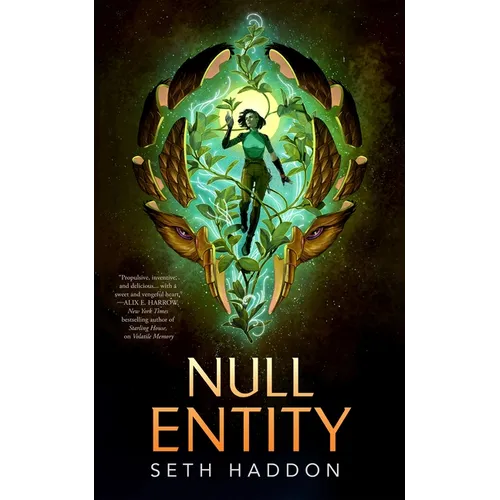 Null Entity