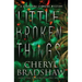 Little Broken Things