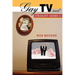 Gay TV and Straight America