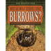 Why Do Wolf Spiders Make Burrows?: And Other Odd Arachnid Adaptations