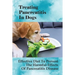 Treating Pancreatitis In Dogs: Effective Diet To Prevent The Harmful Effects Of Pancreatitis Disease: Raw Diet For Dogs With Pancreatitis