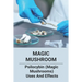 Magic Mushroom: Psilocybin (Magic Mushrooms) Uses And Effects: Central Nervous System Consists Of