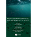 Remediation of Plastic and Microplastic Waste