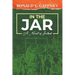 In the Jar: A Novel Of Ireland
