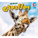 All about Giraffes