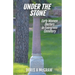 Under the Stone: Early Women Doctors in Evergreen Cemetery