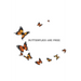 Butterflies Are Free