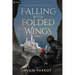 Falling with Folded Wings 3: A Litrpg Progression Fantasy