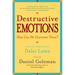 Destructive Emotions: A Scientific Dialogue with the Dalai Lama