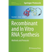 Recombinant and in Vitro RNA Synthesis: Methods and Protocols