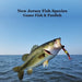 New Jersey Game Fish and Panfish Species Kids Book: Great Book About the Different Types of Fish in New Jersey
