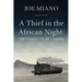 A Thief in the African Night: The Conflicts of Change