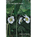 The Mayapple Forest