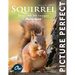 Squirrel: Picture Perfect Photo Book