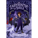 The Labyrinth of Souls