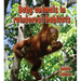 Baby Animals in Rainforest Habitats