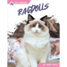 Ragdolls