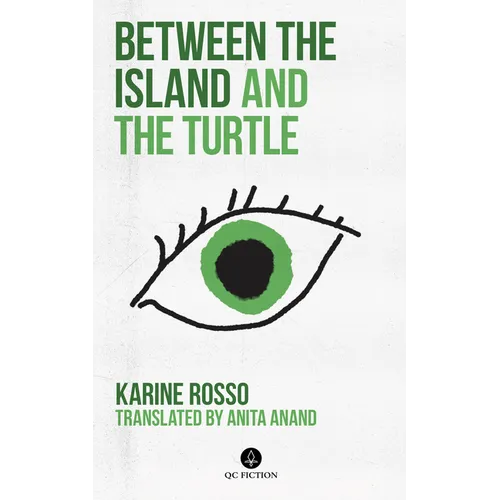 Between the Island and the Turtle