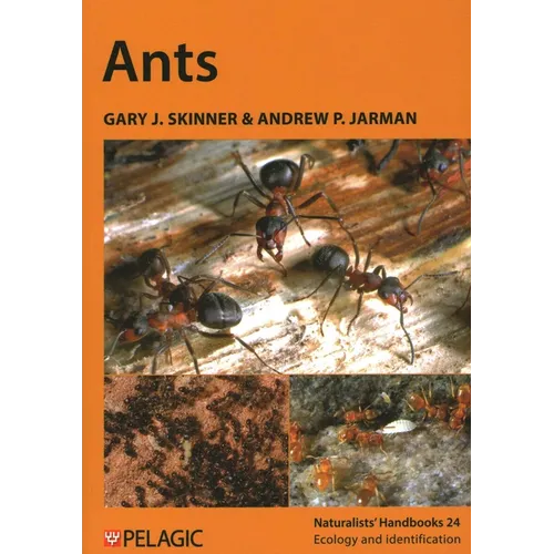 Ants