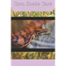 Corn Snake Care: The Complete Guide to Caring for and Keeping Corn Snakes as Pets