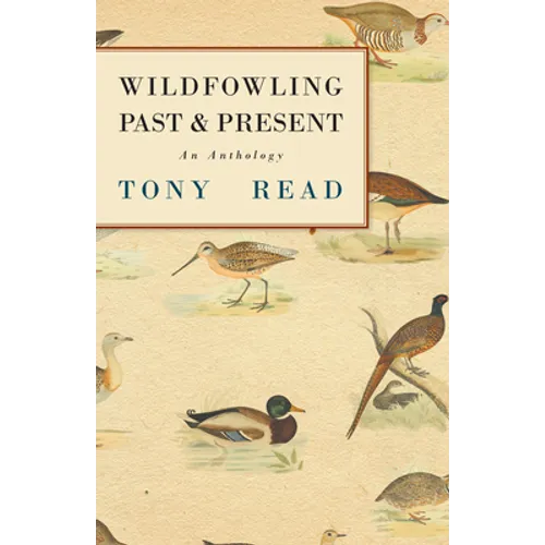 Wildfowling Past & Present - An Anthology