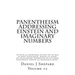 Panentheism Addressing Einstein and Imaginary Numbers