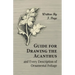 Guide for Drawing the Acanthus, and Every Description of Ornamental Foliage