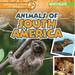 Animals of South America