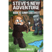 Steve's New Adventure Book 10: Sunny Goes West