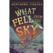What Fell from the Sky