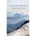 Incessant Wonder