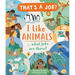 I Like Animals... What Jobs Are There?