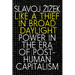Like a Thief in Broad Daylight: Power in the Era of Post-Human Capitalism