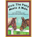 Elvis the Pony Meets a Mule