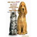 Are You A Cat Person Or A Dog Person?: Learn What Your Preference Says About You