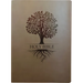Kjver Family Legacy Holy Bible, Large Print, Coffee Ultrasoft: (King James Version Easy Read, Red Letter, Brown)