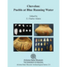Chevelon: Pueblo at Blue Running Water