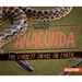 Anaconda: The Largest Snake on Earth