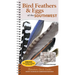 Bird Feathers & Eggs of the Southwest: Identify 40 Species of Common Backyard Birds