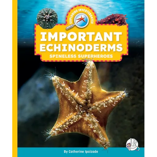 Important Echinoderms: Spineless Superheroes