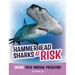 Hammerhead Sharks at Risk: Saving These Unusual Predators