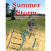 Summer Storm: Regimental Wargame Scenarios For the Battle of Gettysburg
