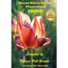 Bloom Where You Are Planted and SHINE!