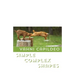 Simple Complex Shapes